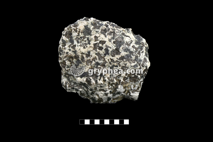 Gabbro - échantillon (Massif du Chenaillet, Alpes) - gryphea.com